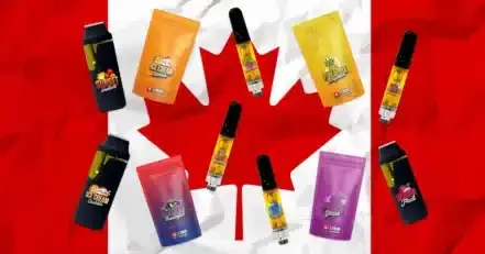 The Best THC Cartridge Deals in USA