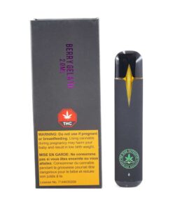 Buy Mango Kush 2ML Disposable Pen By So High Extract